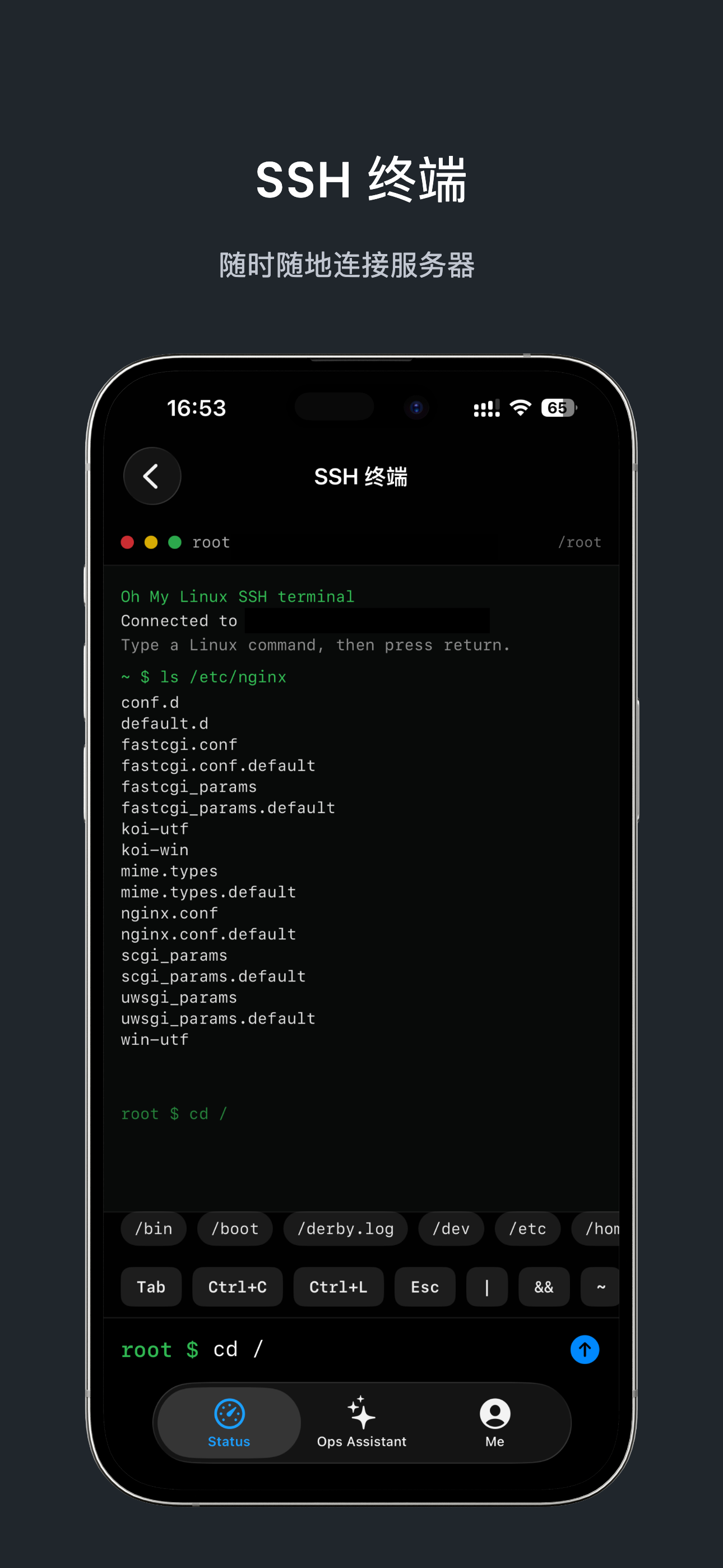 SSH 终端界面
