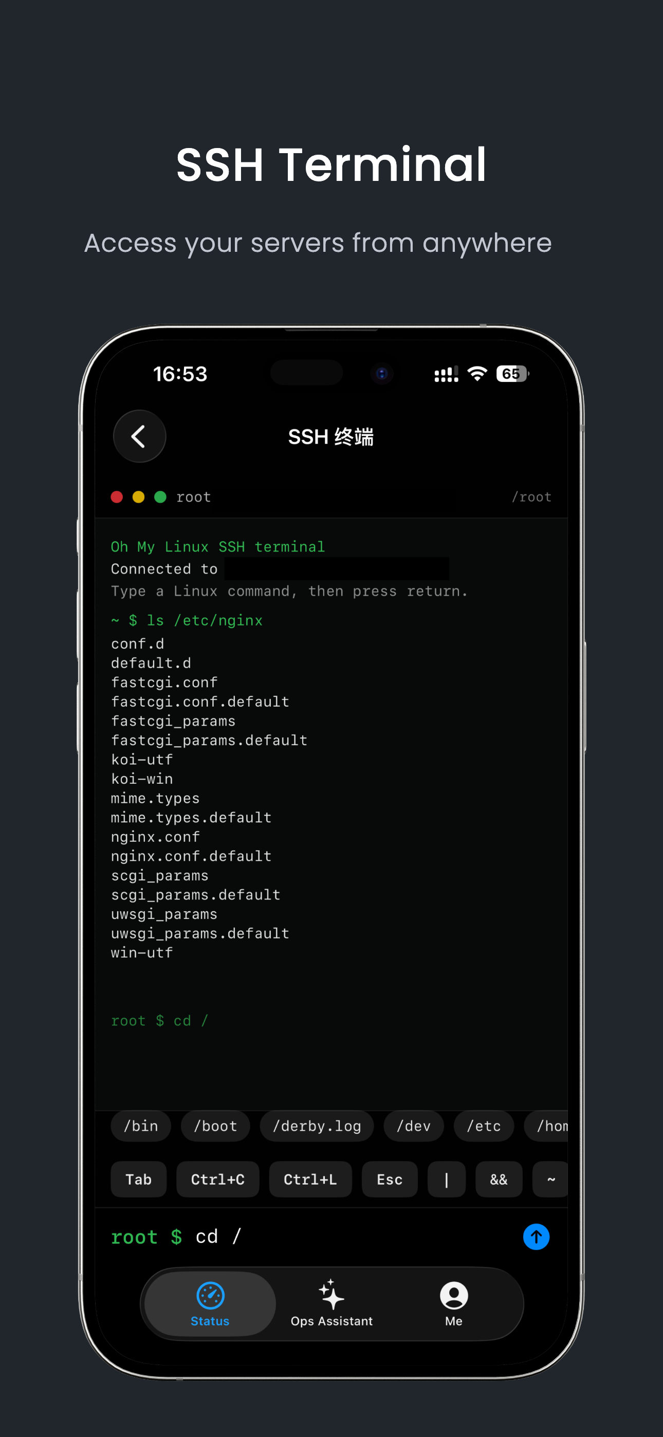 SSH terminal screen